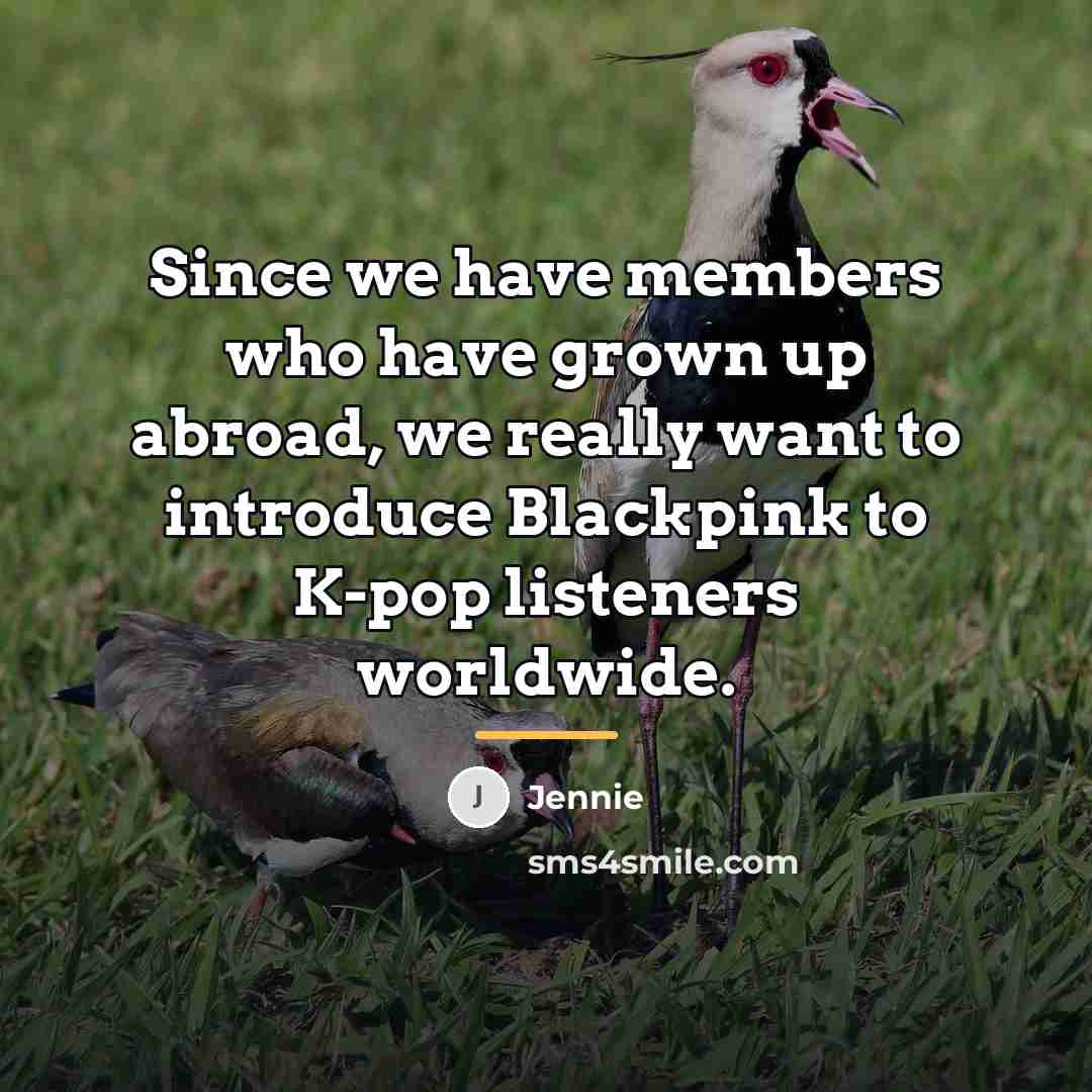 “Since we have members who have grown up abroad, we…” quote by Jennie