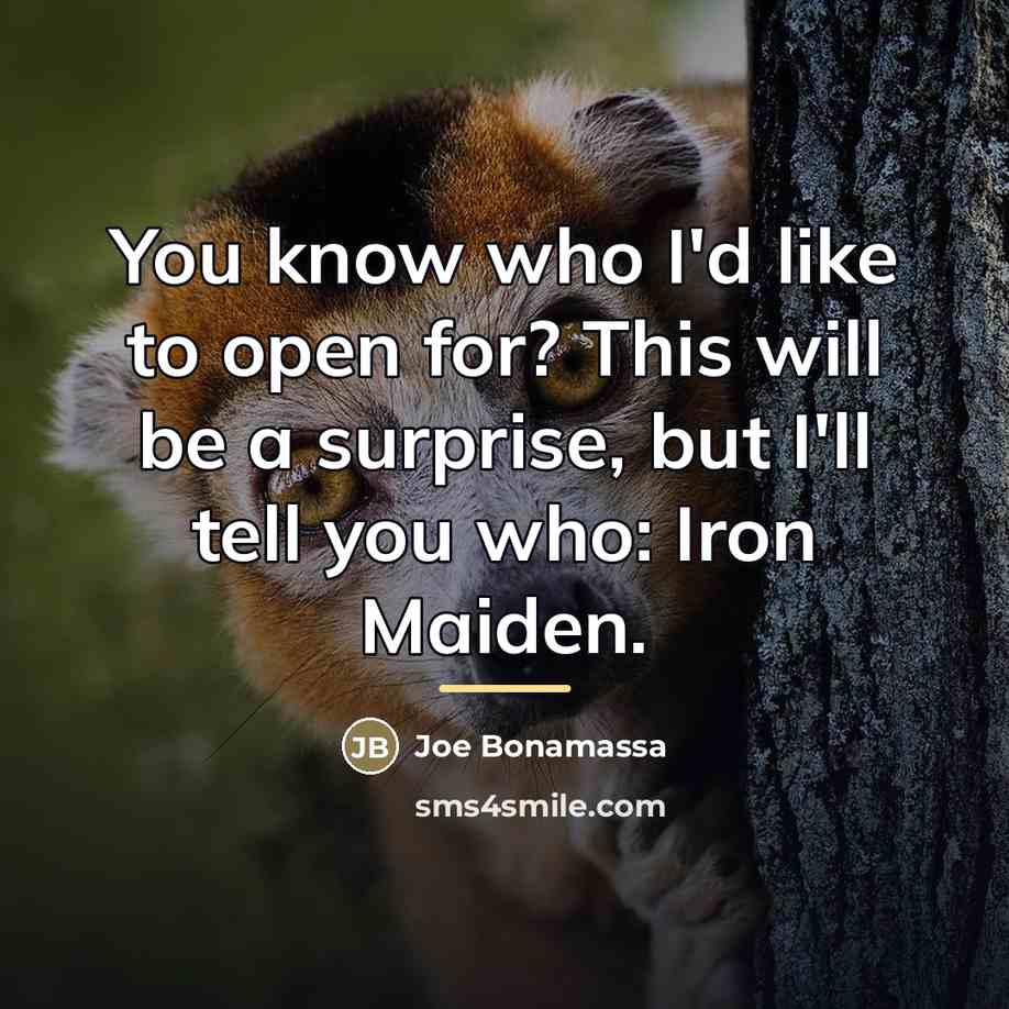 “You know who I'd like to open for? This will…” quote by Joe Bonamassa