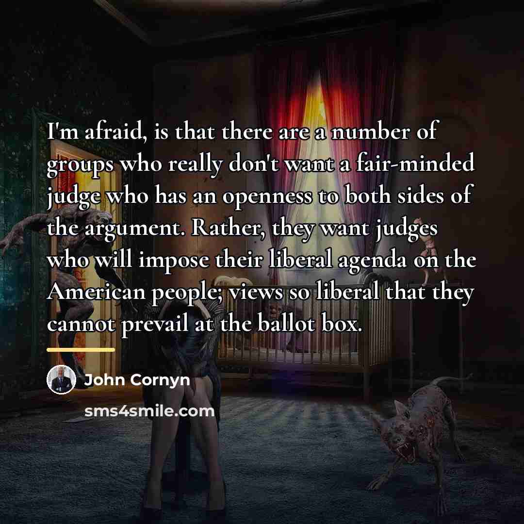 “I'm afraid, is that there are a number of groups…” quote by John Cornyn