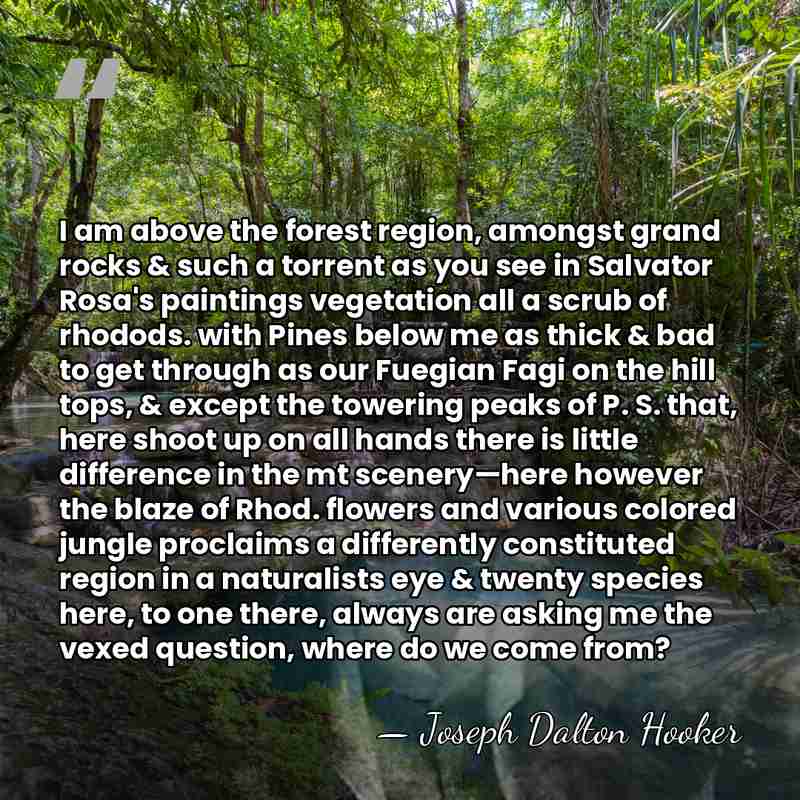 I am above the forest region, amongst grand rocks & such a&hellip; - Joseph Dalton Hooker