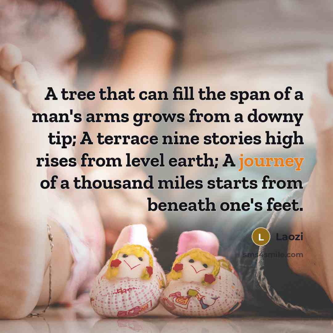 “A tree that can fill the span of a man's…” quote by Laozi
