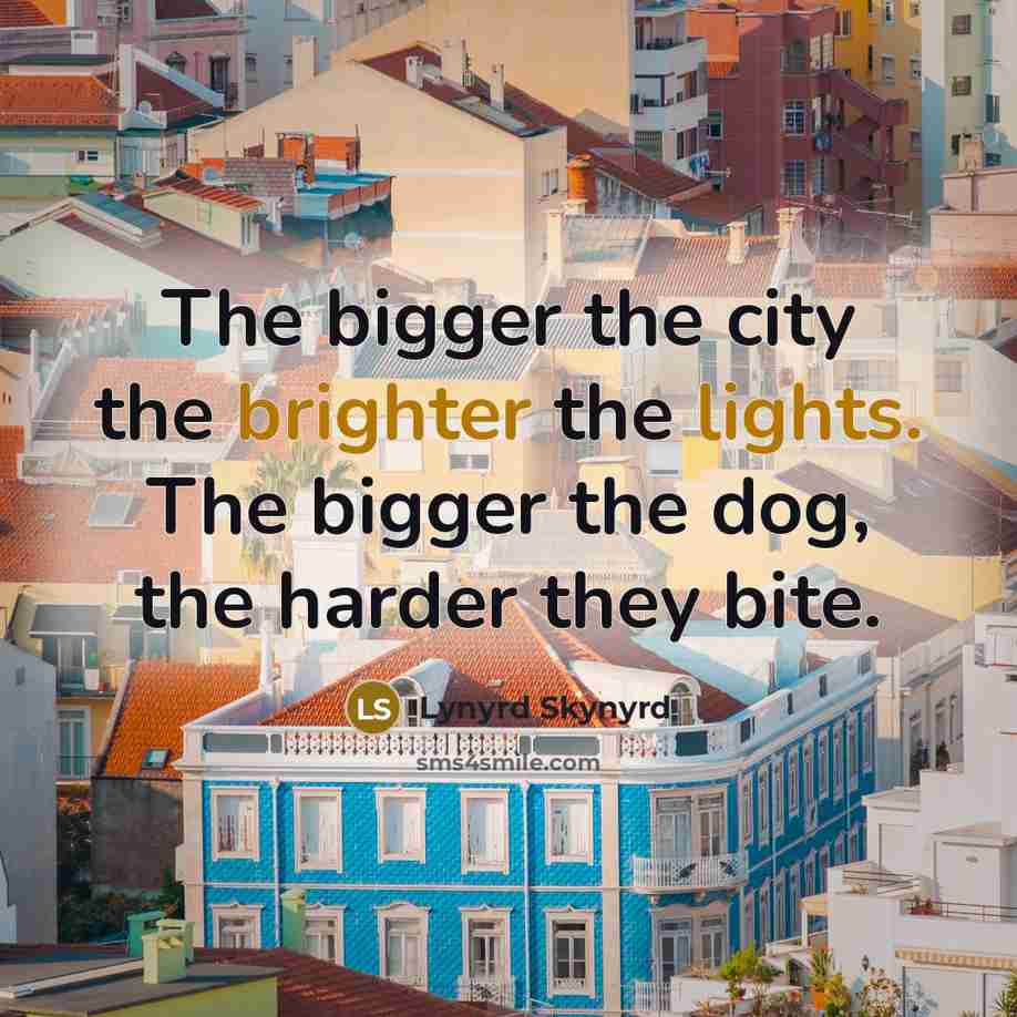 “The bigger the city the brighter the lights. The bigger…” quote by Lynyrd Skynyrd