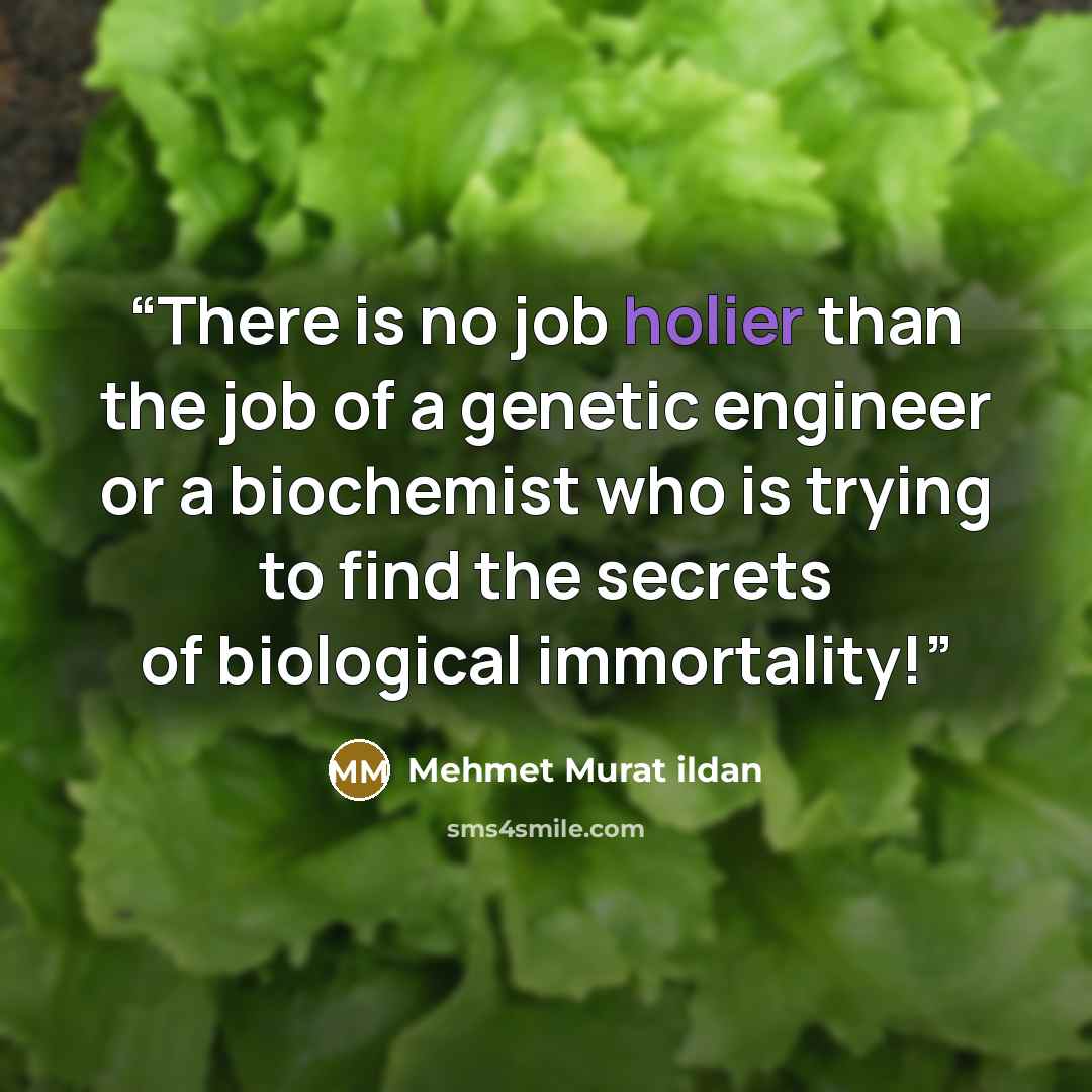 “There is no job holier than the job of a genetic engineer or a biochemist who is trying to find the secrets of biological immortality!” quote by Mehmet Murat ildan