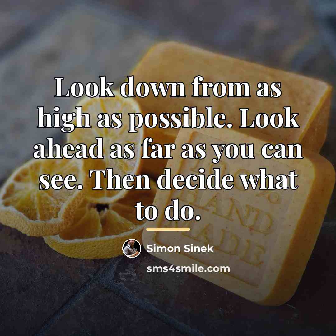 “Look down from as high as possible. Look ahead as…” quote by Simon Sinek