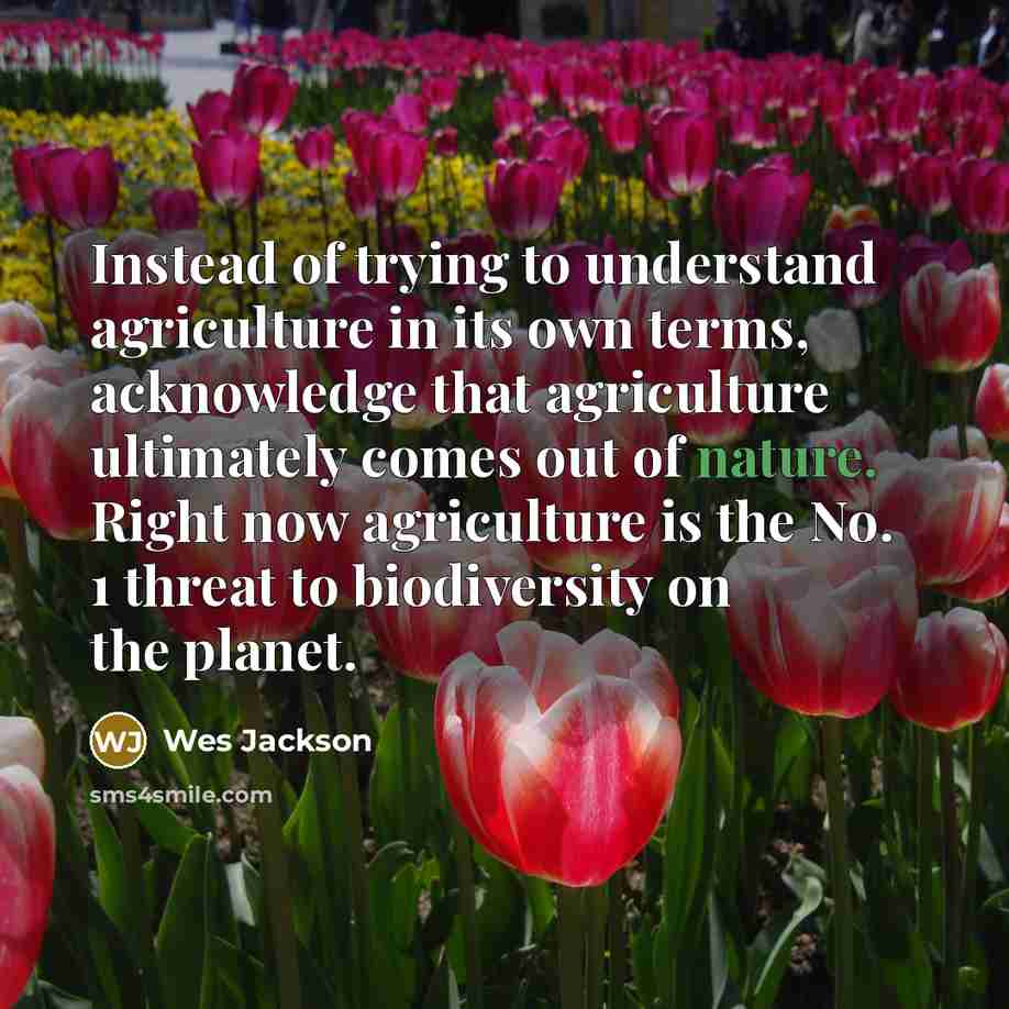 “Instead of trying to understand agriculture in its own terms,…” quote by Wes Jackson