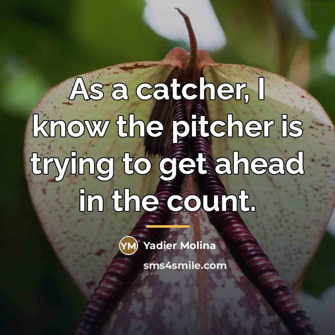 “As a catcher, I know the pitcher is trying to…” quote by Yadier Molina