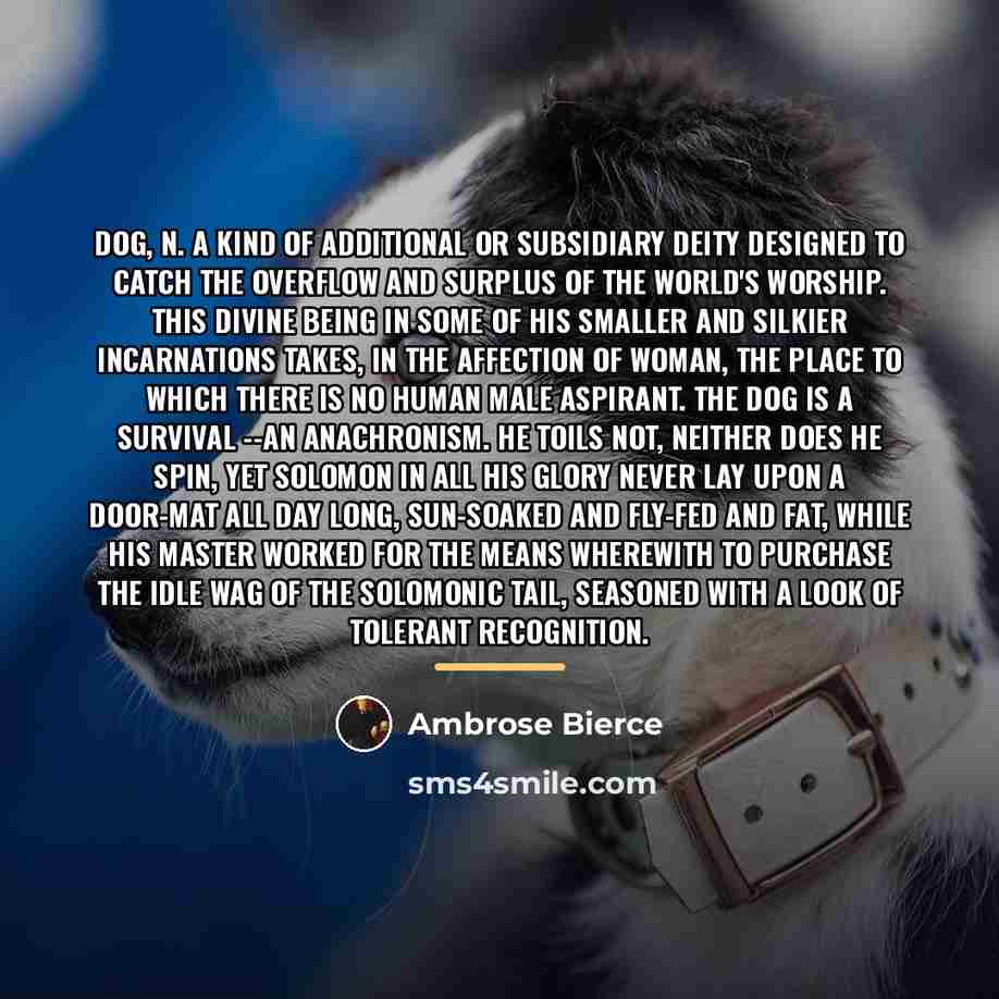 “DOG, n. A kind of additional or subsidiary Deity designed…” quote by Ambrose Bierce