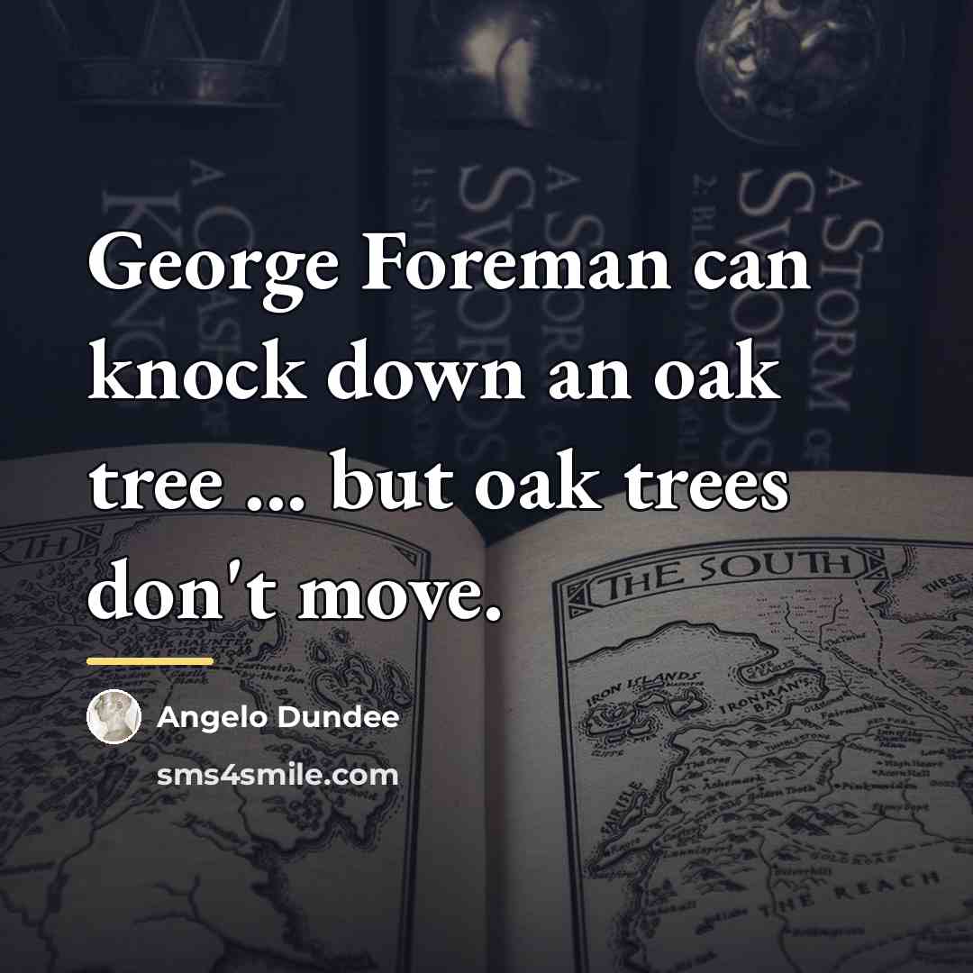 “George Foreman can knock down an oak tree ... but…” quote by Angelo Dundee