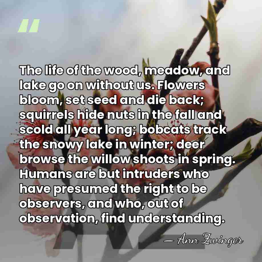 The life of the wood, meadow, and lake go on without us.&hellip; - Ann Zwinger