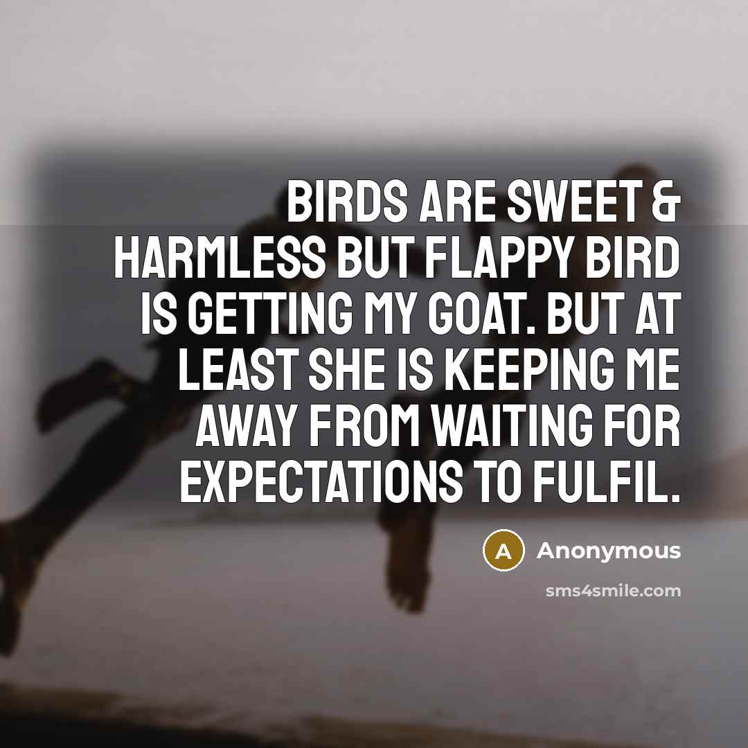 “Birds are sweet & harmless but Flappy Bird is getting…” quote by Anonymous