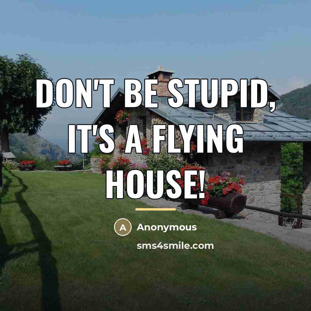 “Don't be stupid, it's a flying house!…” quote by Anonymous