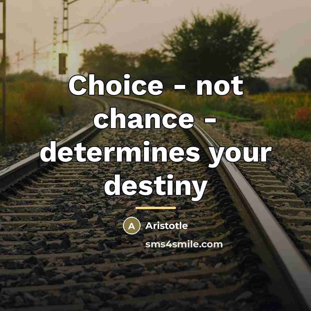 “Choice - not chance - determines your destiny…” quote by Aristotle
