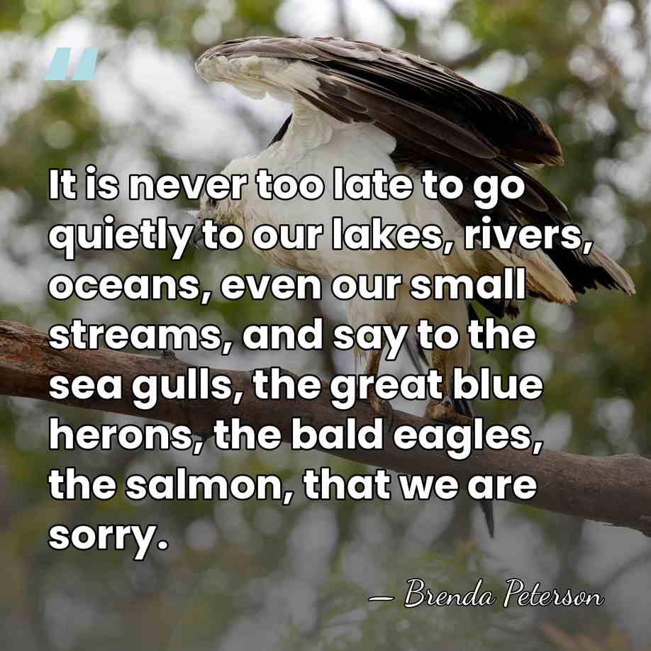 It is never too late to go quietly to our lakes, rivers,&hellip; - Brenda Peterson