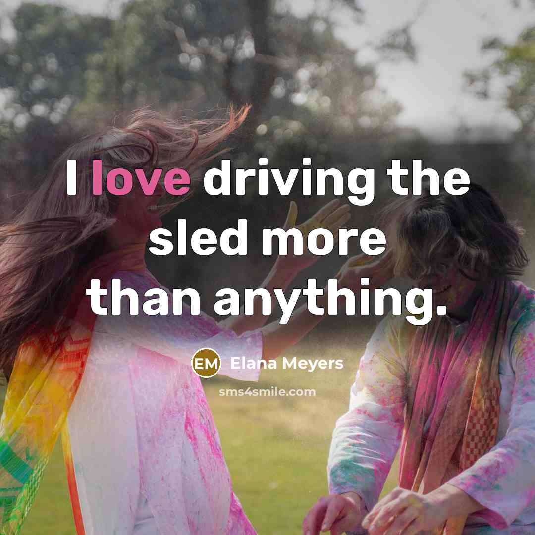 “I love driving the sled more than anything.…” quote by Elana Meyers