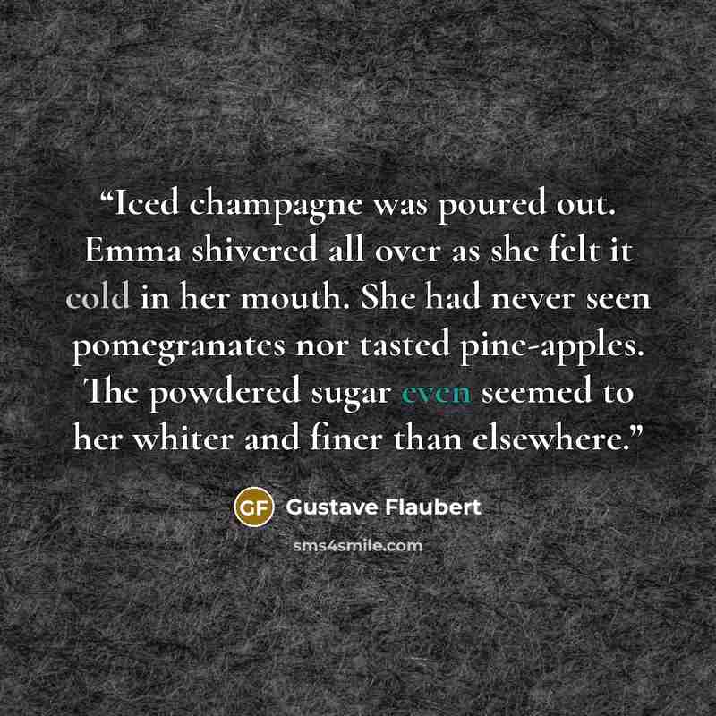 “Iced champagne was poured out. Emma shivered all over as she felt it cold in her mouth. She had never seen pomegranates nor tasted pine-apples. The powdered sugar even seemed to her whiter and finer than elsewhere.” quote by Gustave Flaubert