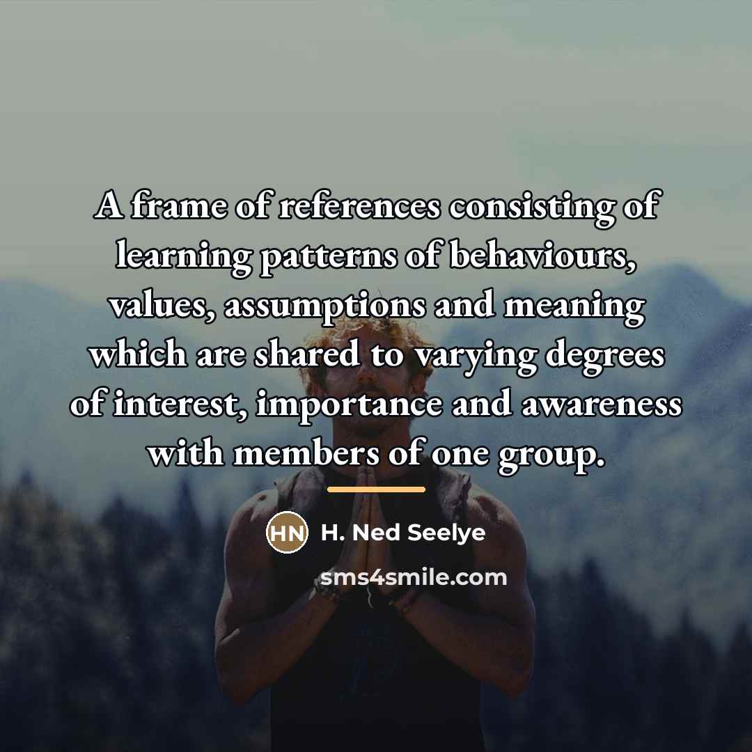 “A frame of references consisting of learning patterns of behaviours,…” quote by H. Ned Seelye