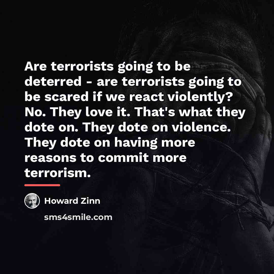 “Are terrorists going to be deterred - are terrorists going…” quote by Howard Zinn