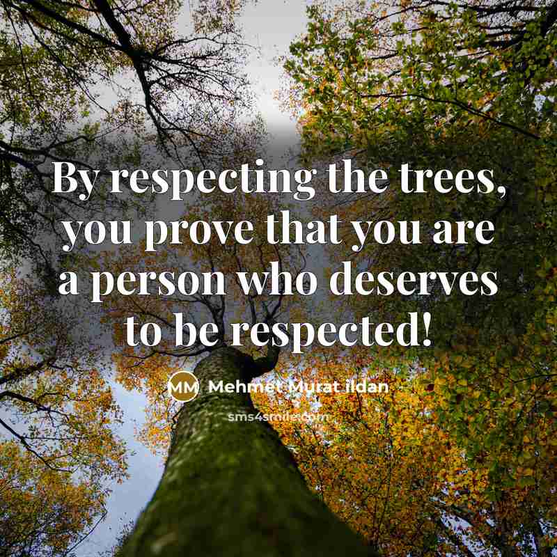 “By respecting the trees, you prove that you are a…” quote by Mehmet Murat Ildan