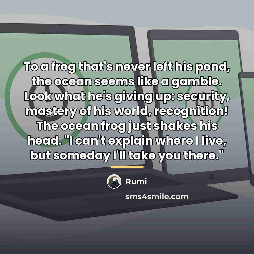 “To a frog that's never left his pond, the ocean…” quote by Rumi