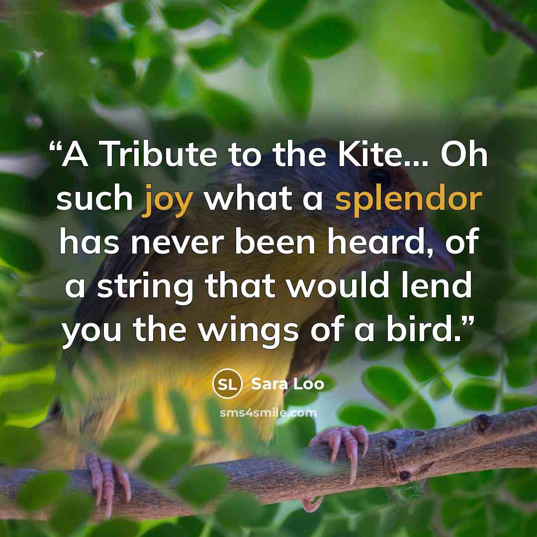 “A Tribute to the Kite… Oh such joy what a splendor has never been heard, of a string that would lend you the wings of a bird.” quote by Sara Loo