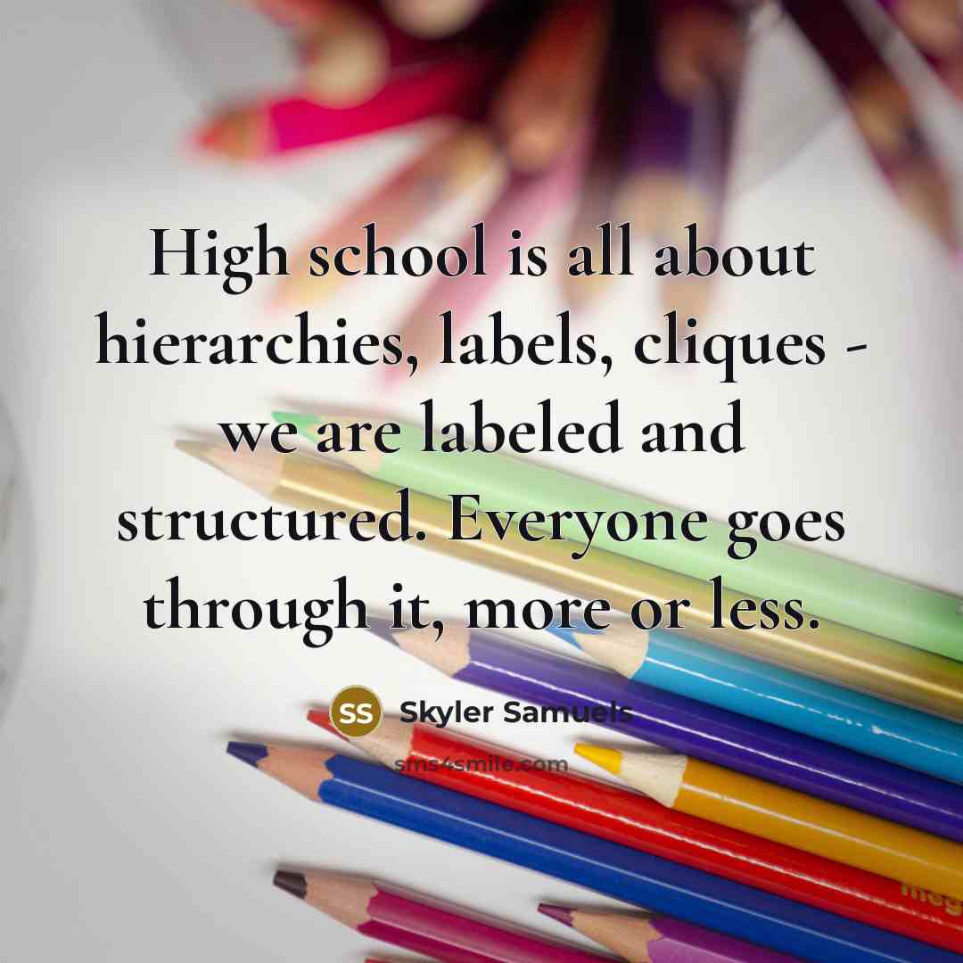 “High school is all about hierarchies, labels, cliques - we…” quote by Skyler Samuels