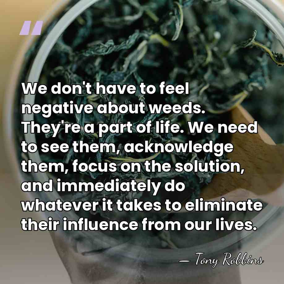 We don't have to feel negative about weeds. They're a part of&hellip; - Tony Robbins