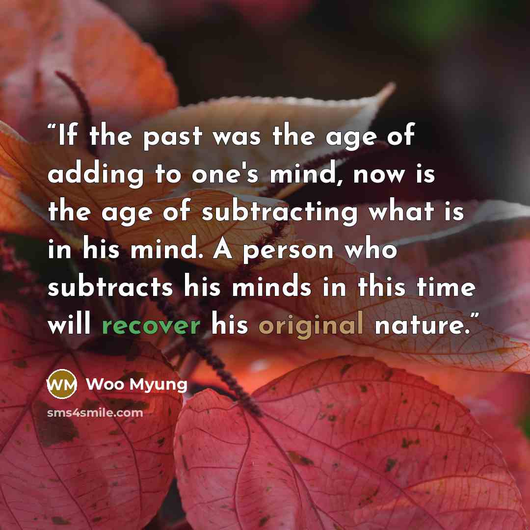 “If the past was the age of adding to one's mind, now is the age of subtracting what is in his mind. A person who subtracts his minds in this time will recover his original nature.” quote by Woo Myung