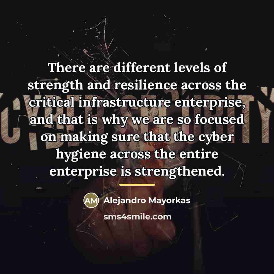“There are different levels of strength and resilience across the…” quote by Alejandro Mayorkas