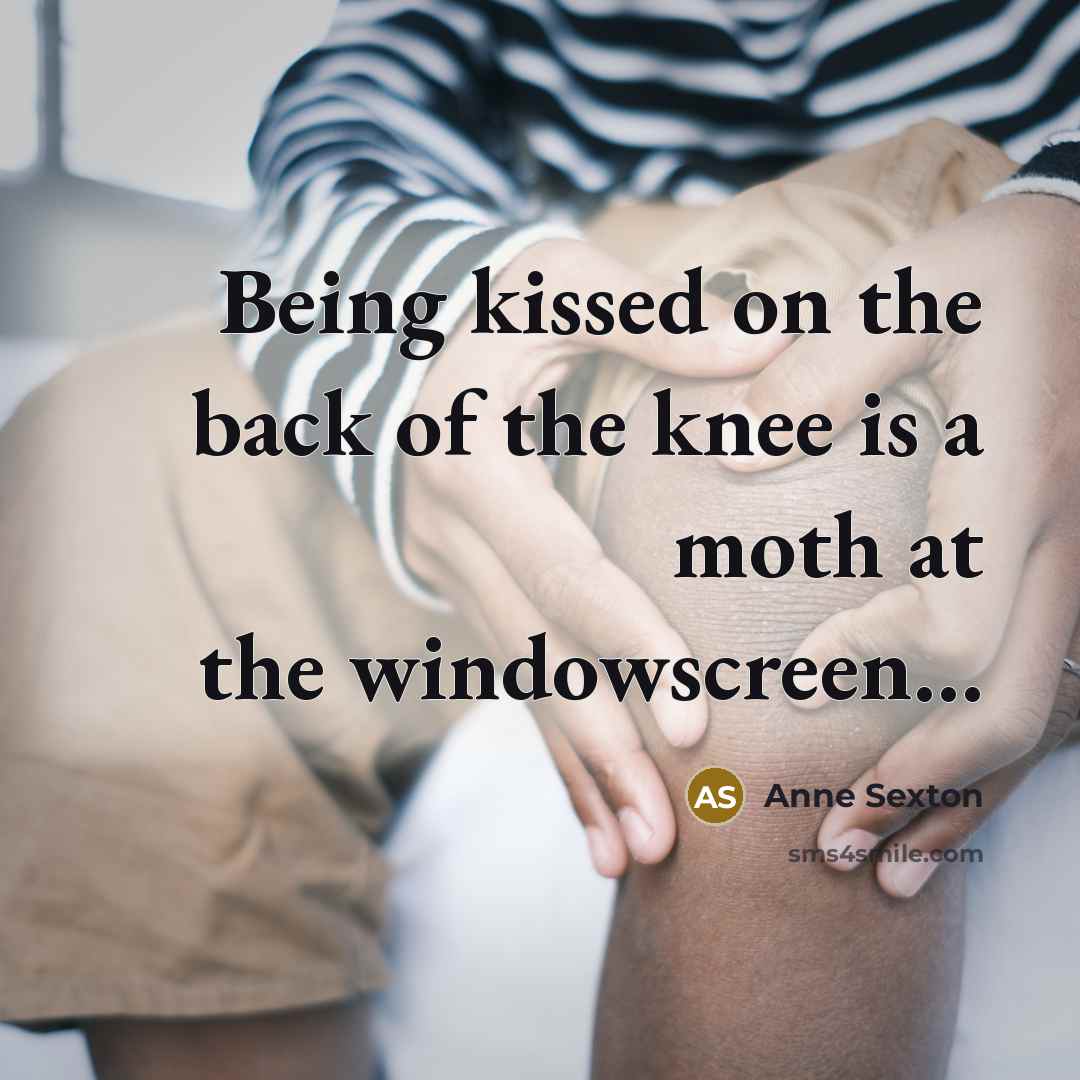 “Being kissed on the back of the knee is a…” quote by Anne Sexton