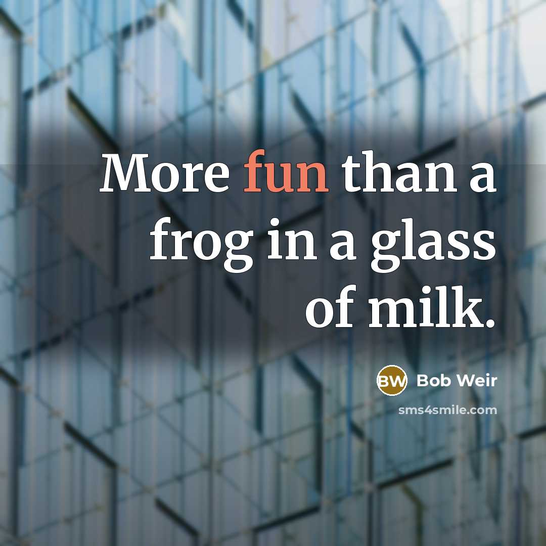 “More fun than a frog in a glass of milk.” quote by Bob Weir