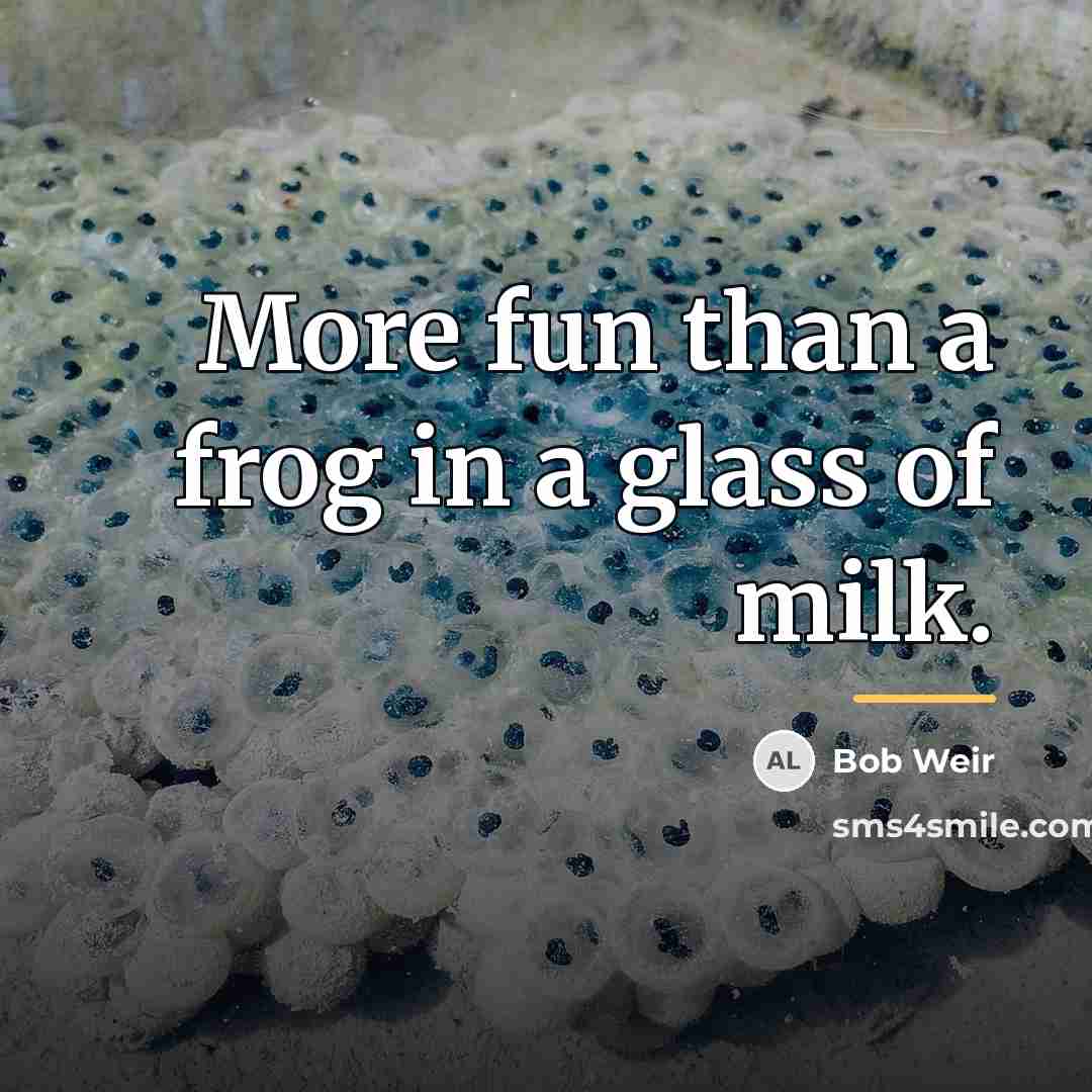 “More fun than a frog in a glass of milk.…” quote by Bob Weir