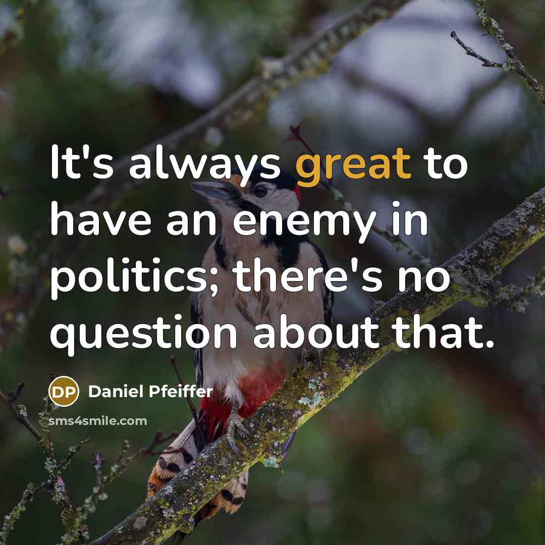 “It's always great to have an enemy in politics; there's…” quote by Daniel Pfeiffer