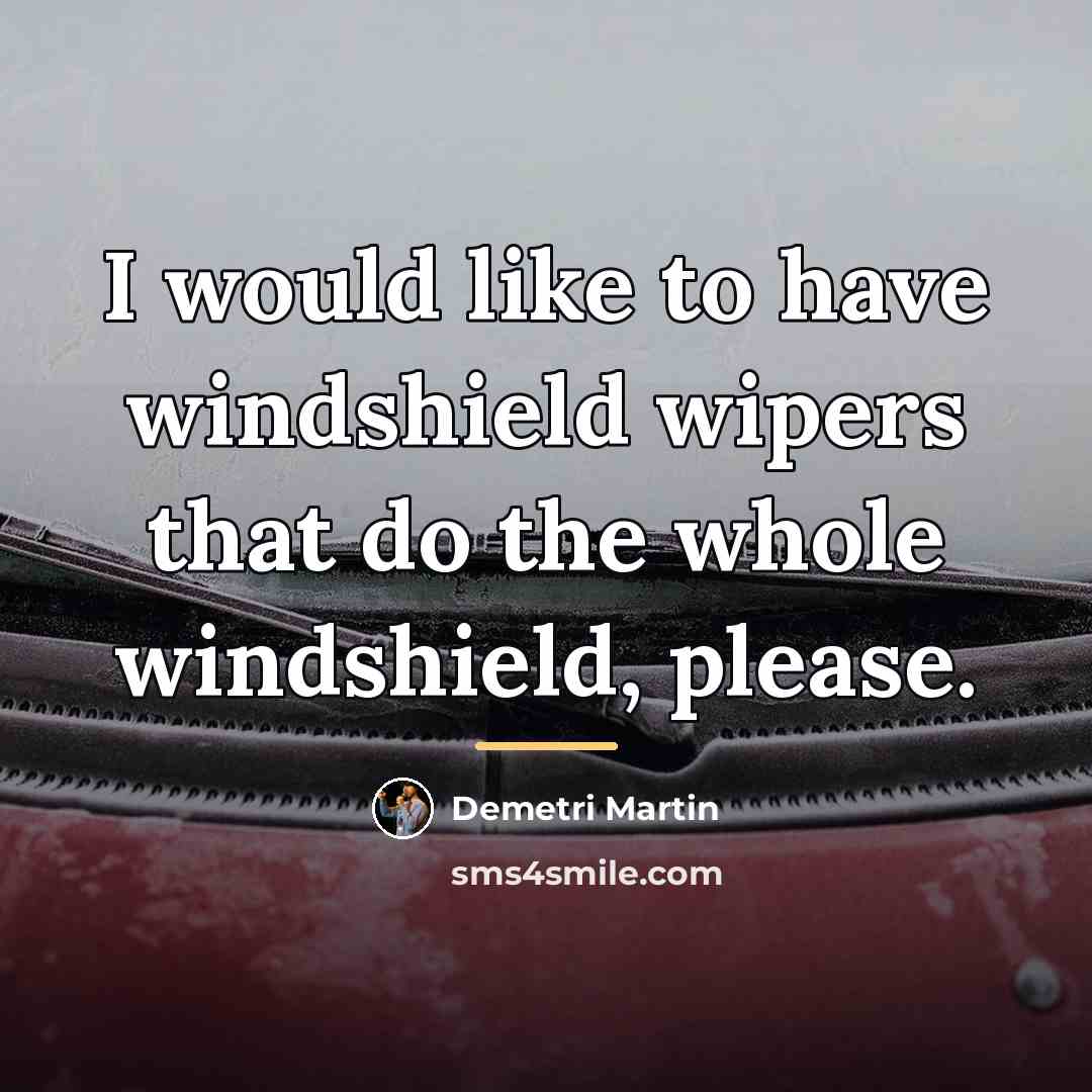 “I would like to have windshield wipers that do the…” quote by Demetri Martin