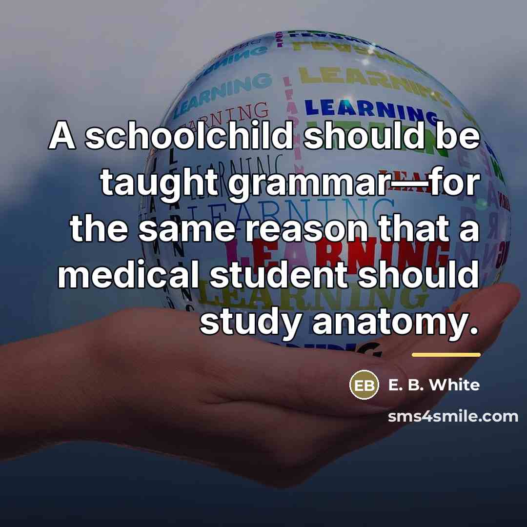 “A schoolchild should be taught grammar—for the same reason that…” quote by E. B. White