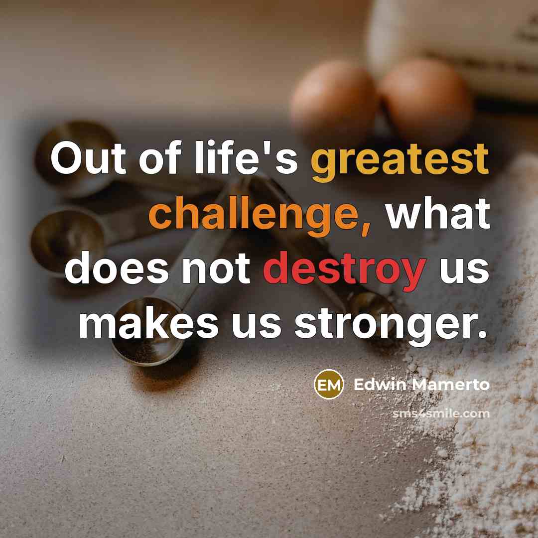“Out of life's greatest challenge, what does not destroy us makes us stronger.” quote by Edwin Mamerto