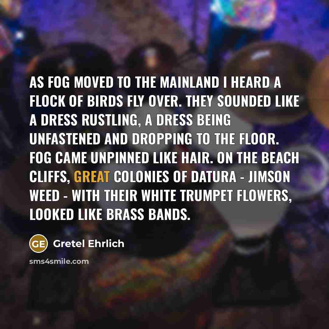 “As fog moved to the mainland I heard a flock…” quote by Gretel Ehrlich