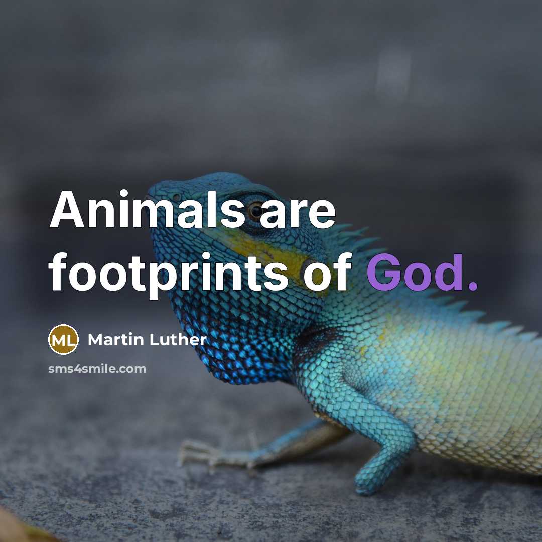 “Animals are footprints of God.…” quote by Martin Luther