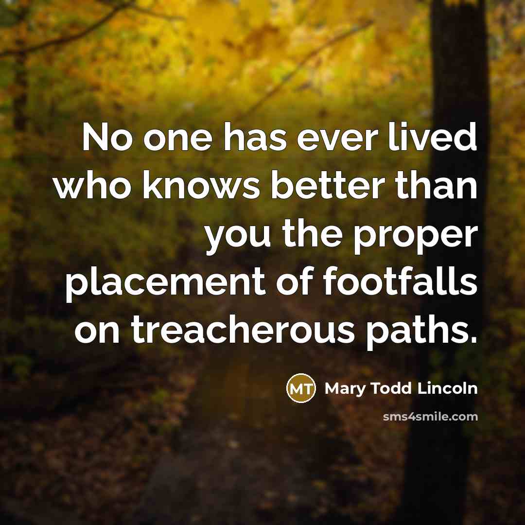 “No one has ever lived who knows better than you…” quote by Mary Todd Lincoln