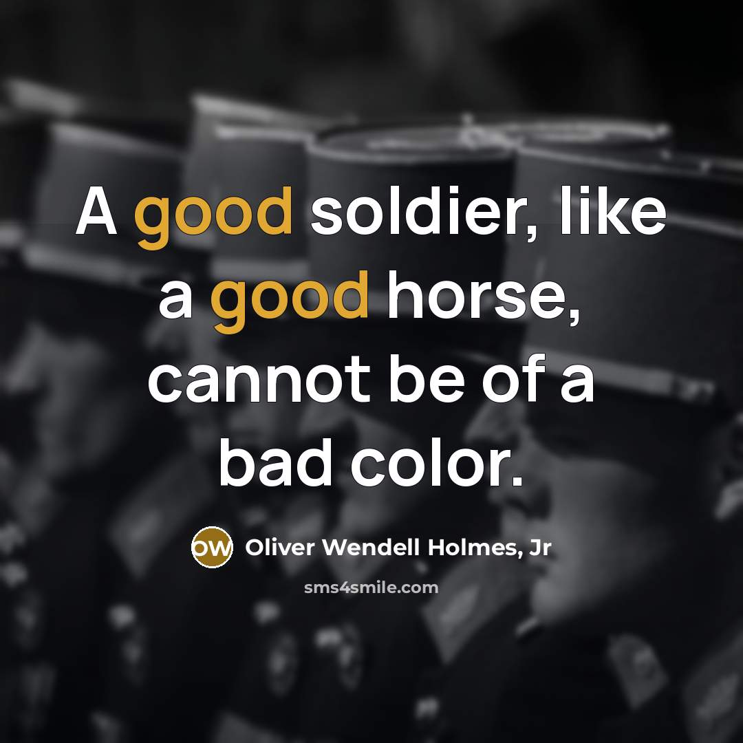 “A good soldier, like a good horse, cannot be of…” quote by Oliver Wendell Holmes, Jr