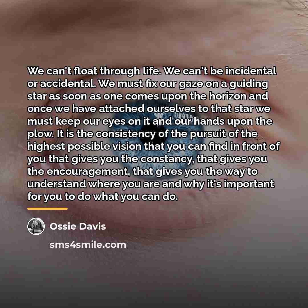 “We can't float through life. We can't be incidental or…” quote by Ossie Davis