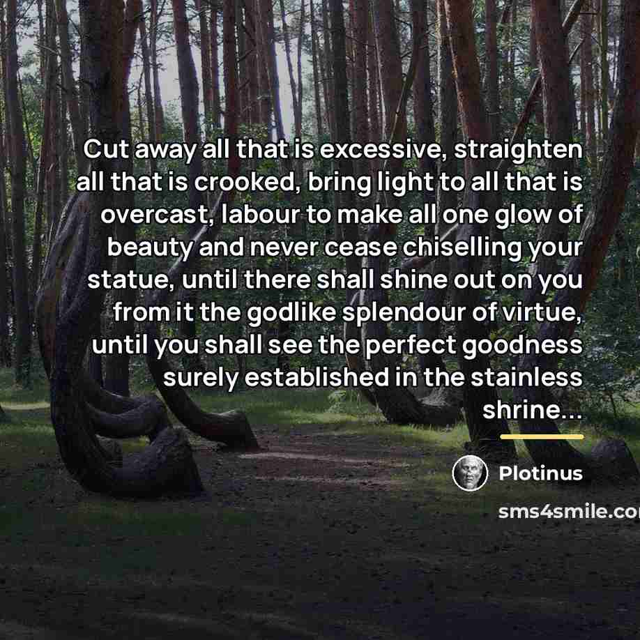 “Cut away all that is excessive, straighten all that is…” quote by Plotinus