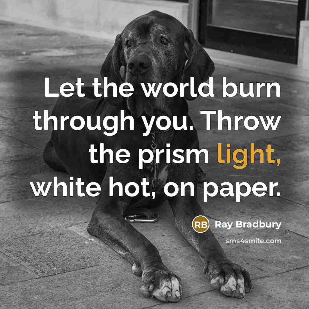 “Let the world burn through you. Throw the prism light,…” quote by Ray Bradbury