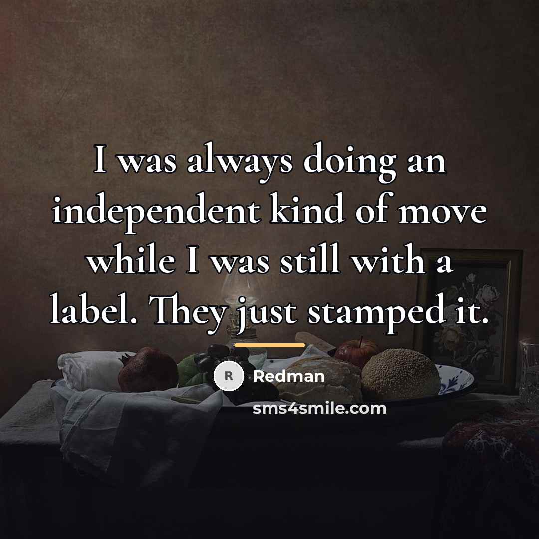 “I was always doing an independent kind of move while…” quote by Redman