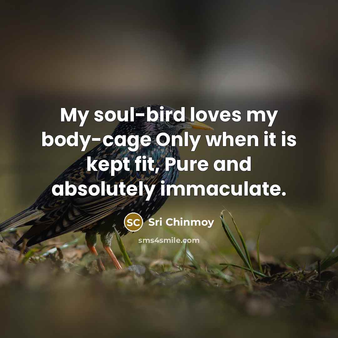 “My soul-bird loves my body-cage Only when it is kept…” quote by Sri Chinmoy