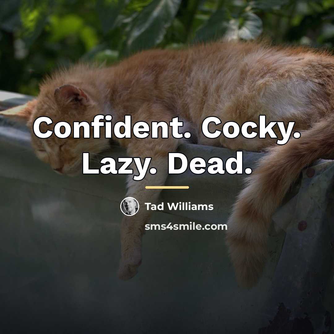 “Confident. Cocky. Lazy. Dead.…” quote by Tad Williams