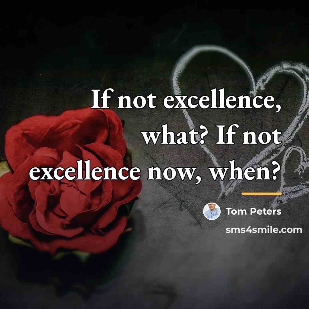 “If not excellence, what? If not excellence now, when?…” quote by Tom Peters