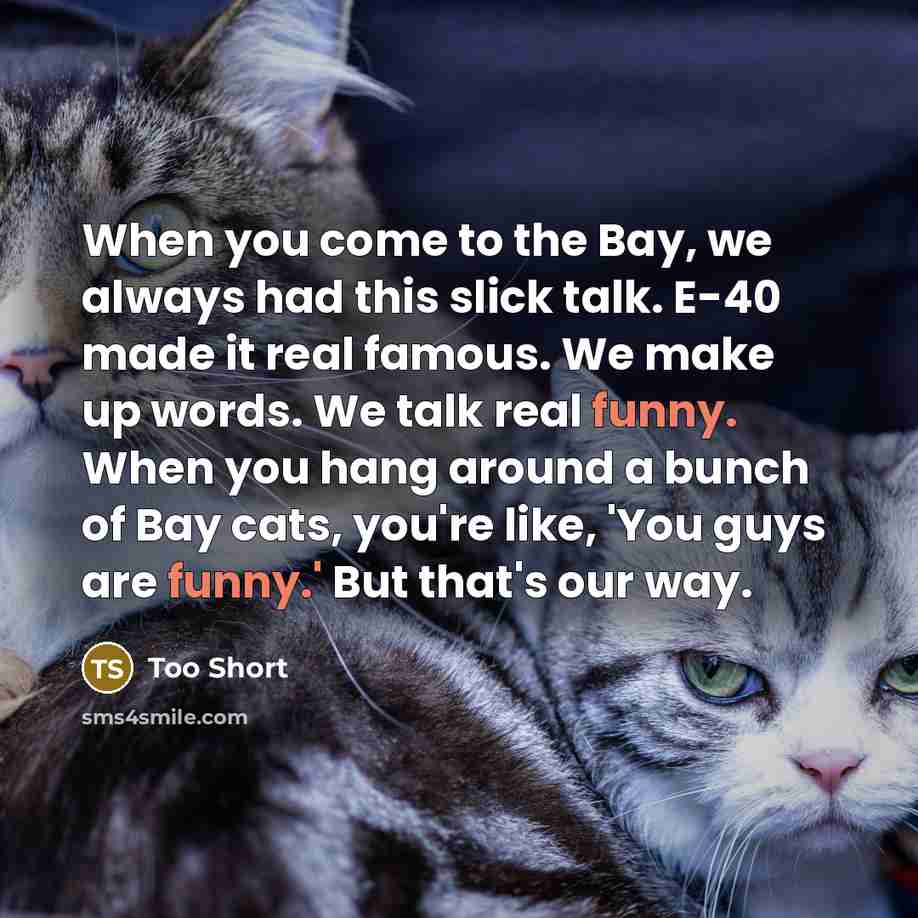 “When you come to the Bay, we always had this…” quote by Too Short