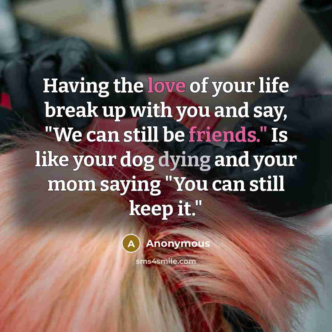 “Having the love of your life break up with you and say, "We can still be friends." Is like your dog dying and your mom saying "You can still keep it."” quote by Anonymous