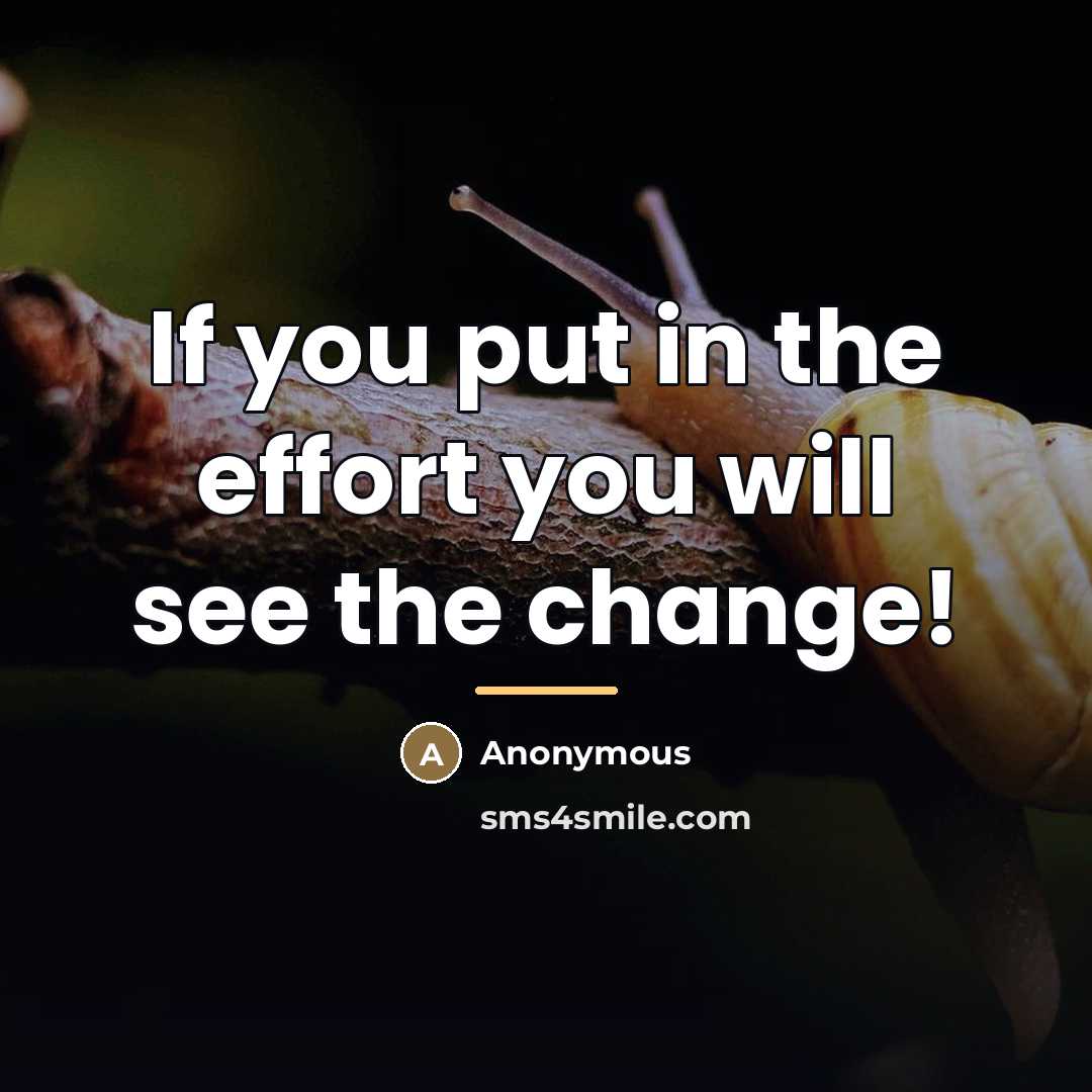 “If you put in the effort you will see the…” quote by Anonymous