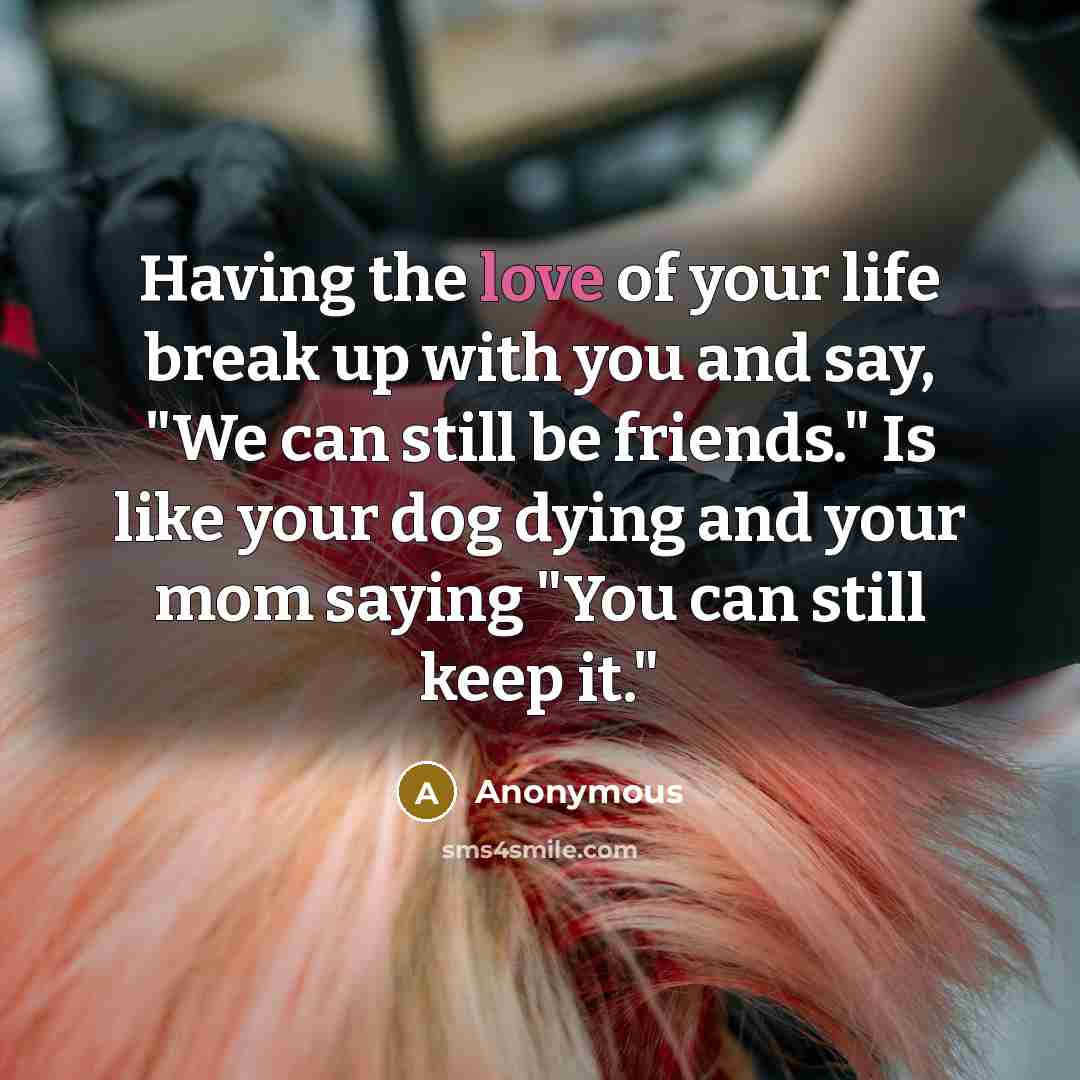 “Having the love of your life break up with you…” quote by Anonymous